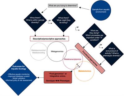 How Do the Players Play? A Post-Genomic Analysis Paradigm to Understand Aquatic Ecosystem Processes